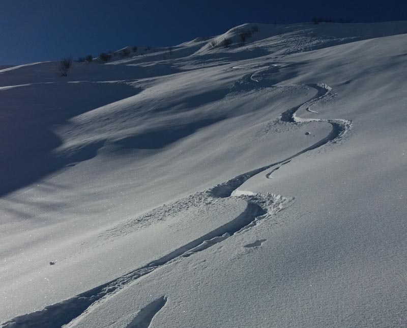 Corso base di Freeride 2022