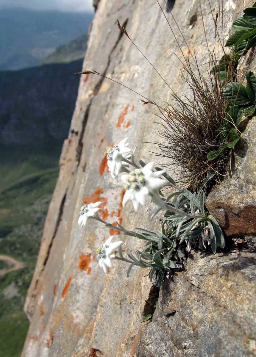 Ferrata di Cimalegna (VC)