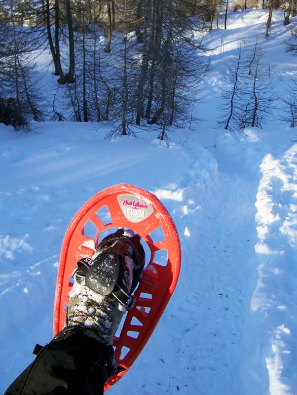 Gite invernali con le ciaspole