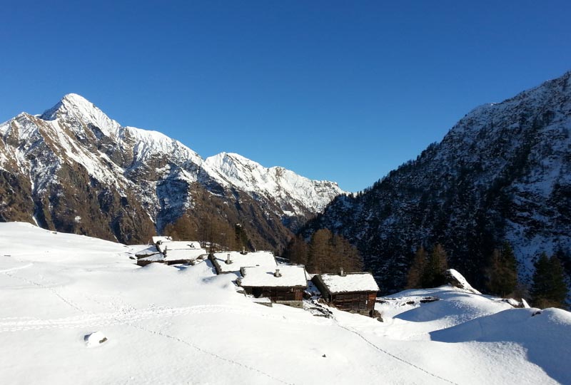 Ciaspolata di capodanno